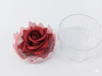 ONEYIOO 3D Rose Flower Blusher & Highlighter 2-in-1 Luminous Compact