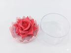 ONEYIOO 3D Rose Flower Blusher & Highlighter 2-in-1 Luminous Compact