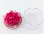 ONEYIOO 3D Rose Flower Blusher & Highlighter 2-in-1 Luminous Compact