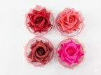 ONEYIOO 3D Rose Flower Blusher & Highlighter 2-in-1 Luminous Compact