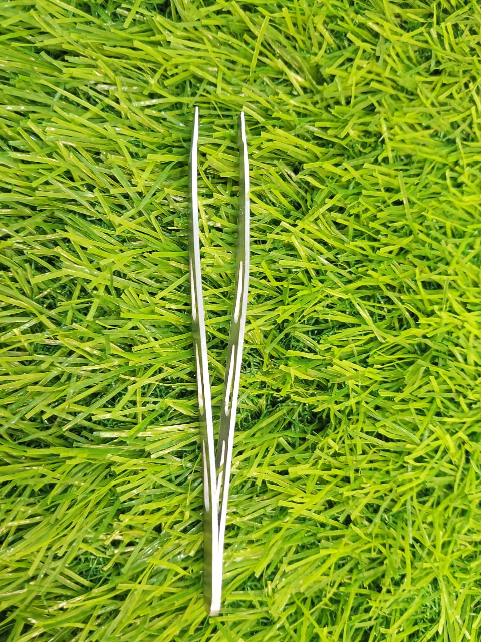 Stainless Steel Precision Tweezers - precision grooming in use