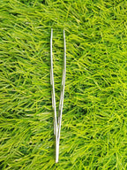 Stainless Steel Precision Tweezers - precision grooming in use